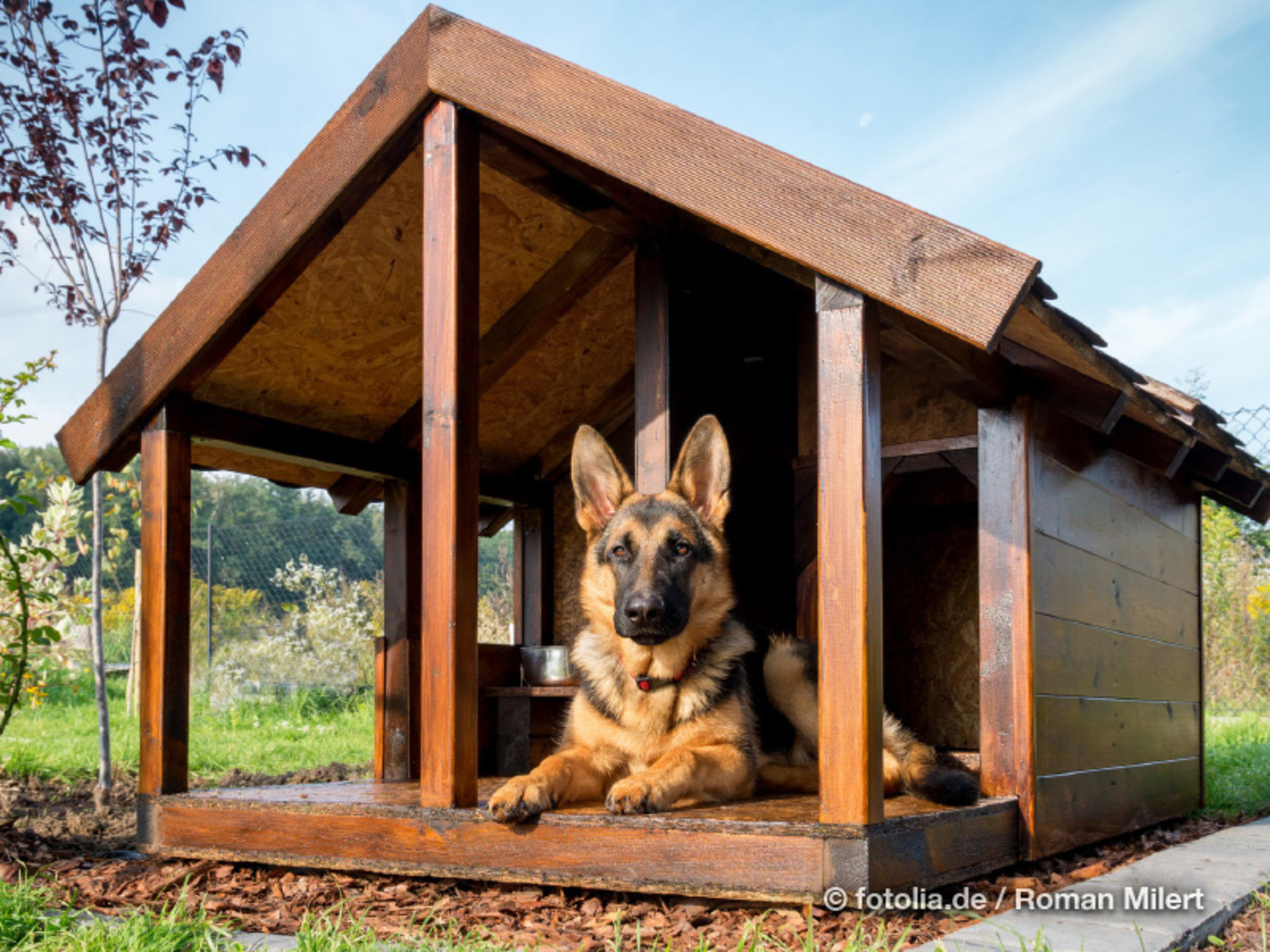 Für unsere Hundefreunde empfiehlt es sich im Garten eine eigene Holz-Hundehütte zu bauen, damit ihr Hund auch außerhalb des Hauses einen eigenen Rückzugsort hat.  (Foto: © Roman Milert/Fotolia.com)